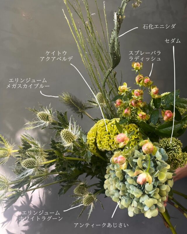 . this week's flowers

きょう入荷の花たち。
#豆柿 の枝もいます。

#石化エニシダ 
#シンカルファ 
#ピンクカスケード 
などなど。個性派も勢ぞろい。

ショップも少しずつ
秋らしくなってきています🍠🌰

――――――――――――――――
店頭では
「#秋まつり」も開催中！（9月30日迄）

ハズレなしのくじ引きや
花瓶のセール販売など
楽しい企画もりもりでお待ちしております♡♡
――――――――――――――――

#熊本花屋
#きょう入荷の花
#秋まつり
#9月30日まで