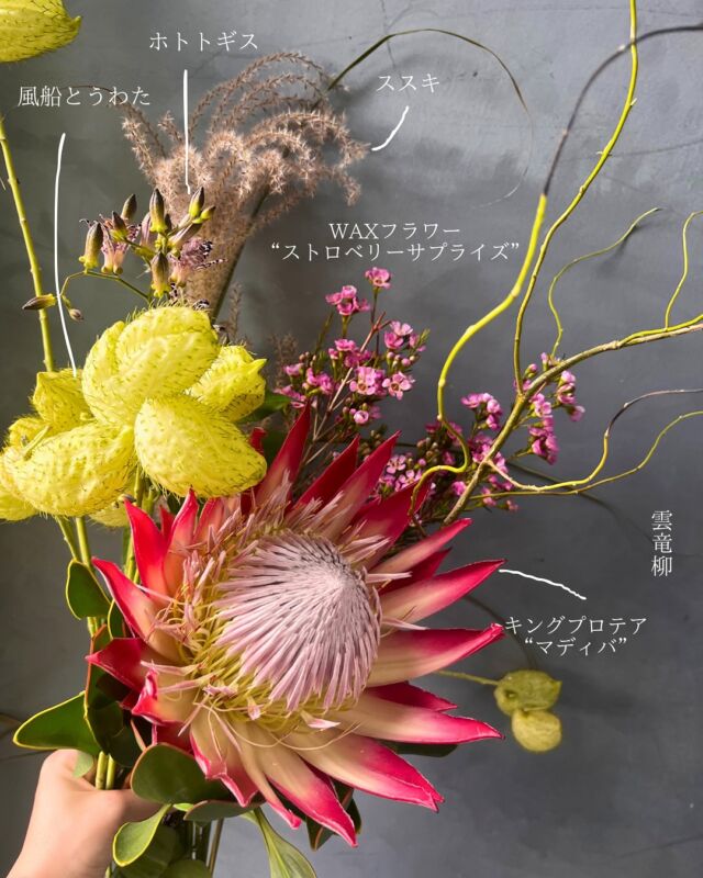 🍂

入荷した花たち。
秋の知らせを告げる花が続々と入ってきてます！

#風船とうわた 
#ホトトギス
#雲竜柳 
#ススキ
#ワックスフラワー
#キングプロテア 

#熊本花屋
#秋の花