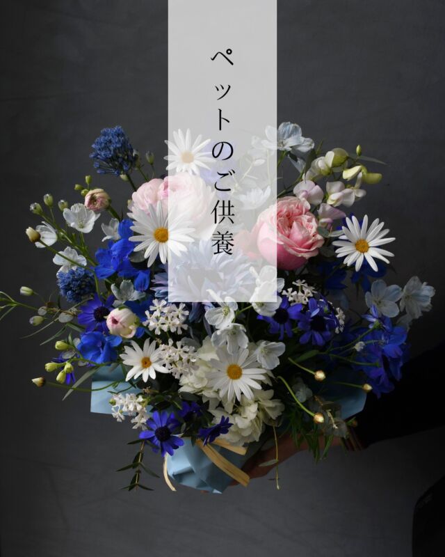 .

最近お届けした
#ペットのお供え 。

お棺に手向ける花束や、
お仏壇のアレンジなどを制作しました。

生前愛用されていた服の色や
首輪の色など
さまざまな思い出をたどりながら
お花をお選びいただきました。

長く飾れるプリザーブドフラワーのアレンジなども承っております。
お気軽にご相談ください。

#お供え花 
#プリザーブドフラワー 
#熊本花屋
#花くらぶ