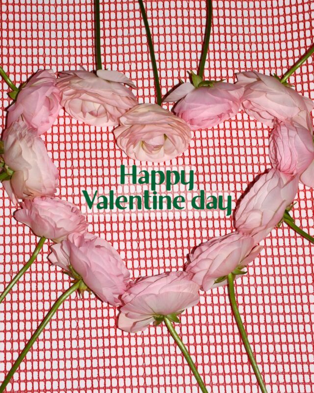 .

14日は
#バレンタイン 

世界でもっとも花が贈られる日です。

告白やプロポーズ。
「いつもありがとう」を伝える。
性別問わず、
大切な人に気持ちを贈るロマンティックな１日。

言葉では照れくさいという人は
花言葉に思いを込めてみませんか。

一輪のラッピングや
#ドライフラワー のブーケ
コーヒーとお花のセットなども
ご用意しております。

#valentine
#flowervalentine 
#バレンタインギフト 
#熊本花屋
#花くらぶ