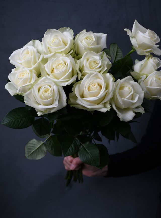 .

バレンタインギフトとしても
人気のバラ。

お花１輪とチョコ🍫を贈るのも
素敵ですね。

※12本の#ダズンローズ など
バラのみの花束は、仕入れ調整のため早めのご予約をお願いいたします！

#アバランチェ 
#ウエストミンスターアビー 
#ラッキーブロー

#今日の入荷
#バラ
#roses🌹 
#熊本花屋
#花くらぶ