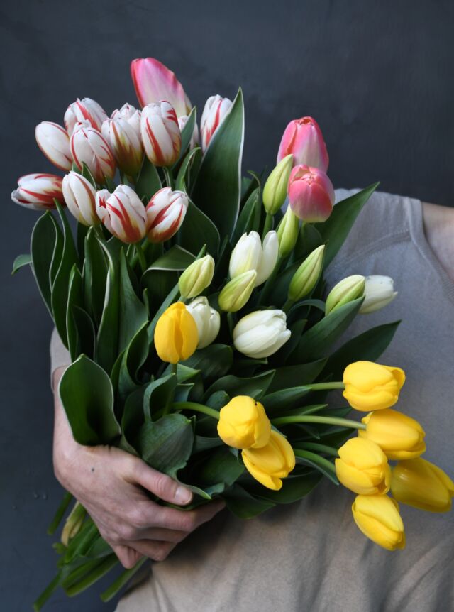 .

今週のチューリップ
#ハッピージェネレーション 
#クンユン
#ハクウン
#ノビサン

毎週、さまざまな品種と
出会えるうれしさ。

開いて閉じて、
光のほうへ首を伸ばして、
毎日くるくると表情を変えていきます。

ドライになっても
また違った表情を見せてくれます。
目が離せない♡

#tulip 
#チューリップ
#一期一会
#熊本花屋
#花くらぶ